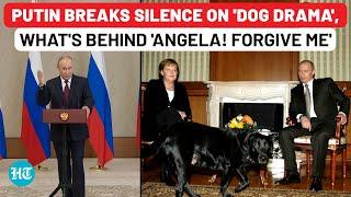 Did Putin Really Scare Merkel with His Dog? Russian President Breaks Silence on ‘Dog Diplomacy’