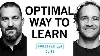 The Art of Training What Matters Most (MIQ Process) | Josh Waitzkin & Dr. Andrew Huberman