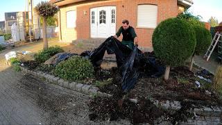 "We'll Have Guests Coming" DO SOMETHING About this AWFUL Flower Bed