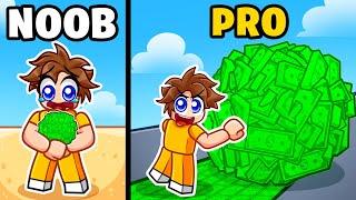 I Went NOOB to PRO in Roblox Money Ball Simulator!