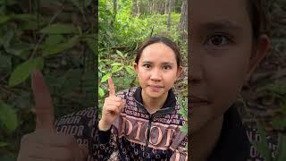 Survival Skills: single mom with apple picker skills in forest #survival #outdoors #skills #cooking