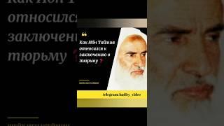 Как Ибн Таймия относился к заключению в тюрьму? Шейх Мухаммад ибн Салих аль Усеймин #ибнтаймия