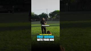 What I use to do on my first training session. #dogtraining #doglover #sk9 #balancedtraining