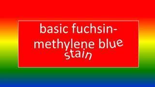 BASIC FUNCHSIN METHYLENE BLUE STAIN