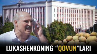 Birinchisi ham, oxirgisi ham emas: Lukashenkoning “xurmacha” bayonotlari