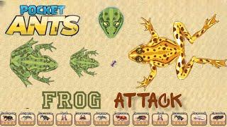 Pocket Ants l Toad in battle | Water life hack | Golden Toad | New pets