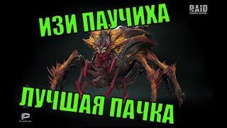 ЛУЧШАЯ ПАЧКА НА ПАУЧИХУ, ГАЙД - RAID Shadow Legends