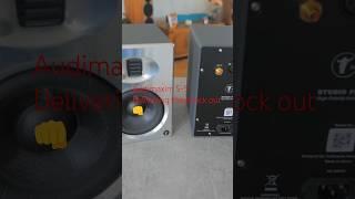 Audimaxim S-5 active loudspeakers punch harder than Mike Tyson