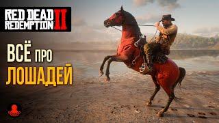 ВСЁ ПРО ЛОШАДЕЙ в Red Dead Redemption 2 | RDR2