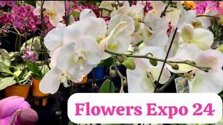 Flowers Expo 24, обзор выставки.