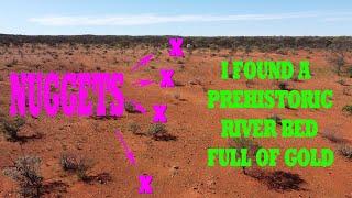 Aussie prospector finds gold nuggets with metal detector but they're too small, I want a BIG patch !