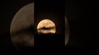 The Flower Moon #flowermoon  #nightsky  #moonshine