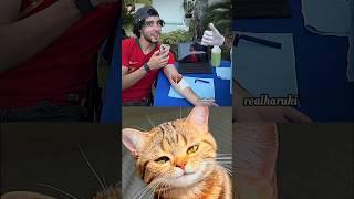 tattoo aura  #cat #meme #dance #trending