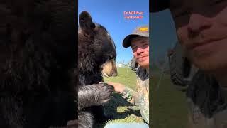 BEAR EATS CARROT #youtube #viral #animals