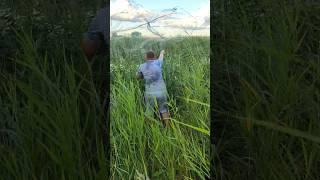 Самый дальний заброс через камыши #casting #рыбалка #fishing #carpfishing #кастинговая #fish #рыба