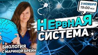 ВСЯ НЕРВНАЯ СИСТЕМА | ЕГЭ ПО БИОЛОГИИ