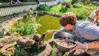 Feeding otters at Buckfast Butterfly Farm & Dartmoor Otter Sanctuary