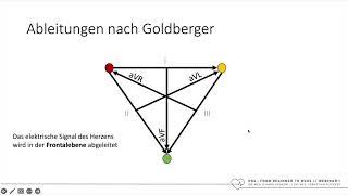 EKG - From Beginner To Boss | Teil 1 | Basics - mit Dr. Sebastian Feickert