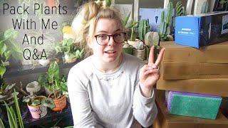 Pack Rare Houseplants With Me Q&A! Current Wishlist, Favorite YouTubers,  & MORE!