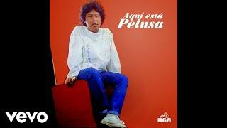 Pelusa - Tú Fuiste Mi Historia de Amor / Será Oro Mañana (Official Audio)