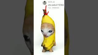 Оба имба #кириллплюш #блоптоп #мемы #meme #bananacat #мягкиеигрушки #эльгато