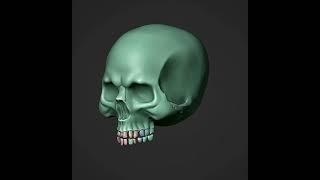 Skull Sculpting Timelapse in #Blender #3D