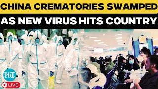 LIVE: HMPV Virus Outbreak In China: What You Need to Know About Symptoms & Risks | China News