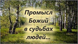 Промысл Божий в судьбах людей. Мудрые мысли. Мудрость жизни. Важно знать!