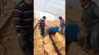 Poly house Rise Bed Leveling Technics Tricks Farming Agriculture Equipment Tools #short #tools