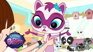 Littlest Pet Shop Season 3 - 'Meet the Sweetest Ferret, Jebbie!' Official Clip