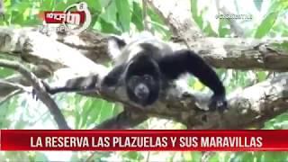 Reserva Las Plazuelas, un lugar especial para visitar en Nandaime - Nicaragua