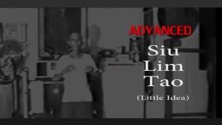 ADVANCED Wing Chun by Sifu Samuel Kwok 3-DVD Set