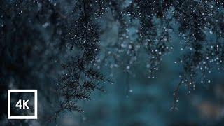 Binaural Rain Sounds For Sleep and Study in Quarantine, 4k ASMR