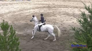 158S Sara Mackenzie on Cowboy Cassanova Open Training Show Jumping Aspen Farms Sept.2018