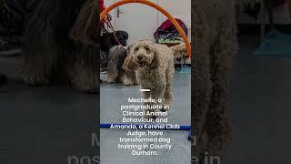Trust + teamwork = happy dogs & happy humans. Watch these superstars in action!