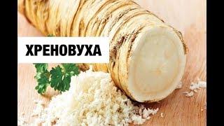 Хреновуха