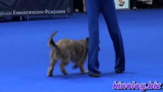 Dance with dogs! Dog show - 2012 Eurasia, Moscow.