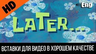 #2 Later / Позже | SpongeBob Timecard | Вставка для видео | Insert for video