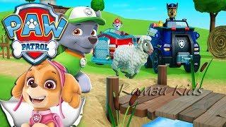 Paw Patrol: On A Roll! lambs in trouble Щенячий патруль Камзи Kids 0+