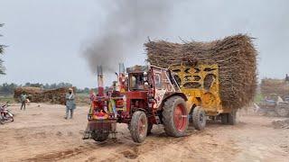 King of Belarus 510 Power Show Trolley Pulling Challenge Sugarcane Trailer