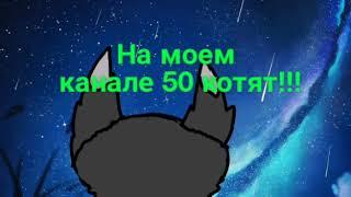 Спасибо за 50 котят!!!