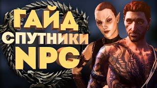 КАК ПОЛУЧИТЬ NPC-СПУТНИКОВ в Elder Scrolls Online? ГАЙД (2021)