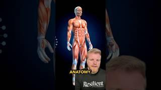 Applying Functional Anatomy for Fitness and Rehab Professionals