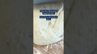 Perfect Sourdough Dough: What It Should Look Like Before Shaping