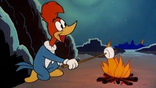 The Wild West Camping Trip | 2.5 Hours of Classic Episodes of Woody Woodpecker