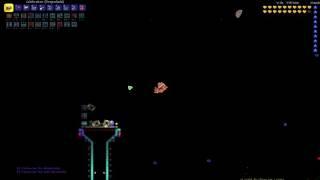 Terraria Destroyer World Record- 1 FRAME - Dinafay Version 1.3.0.8