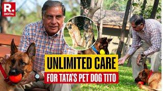 Ratan Tata Leaves Big Chunk For Pet Dog Tito From His 10,000 Crore Estate, Ensuring ‘Unlimited Care’