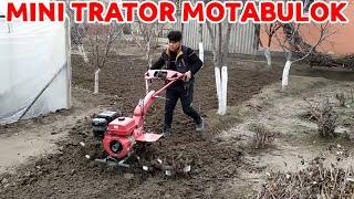 MINI TRATOR MOTABULOK.QISHLOQ XOʻJALIGI UCHUN ENG KERAKLI TEXNIKA