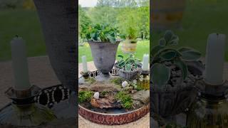  #DIY "Hosta To Go" idea 🪴 #hosta #hostagarden @floristik