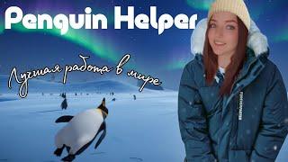 ОСВОИЛА ПРОВЕССИЮ ПОМОГАТОРА ПИНГВИНАМ ► Penguin Helper